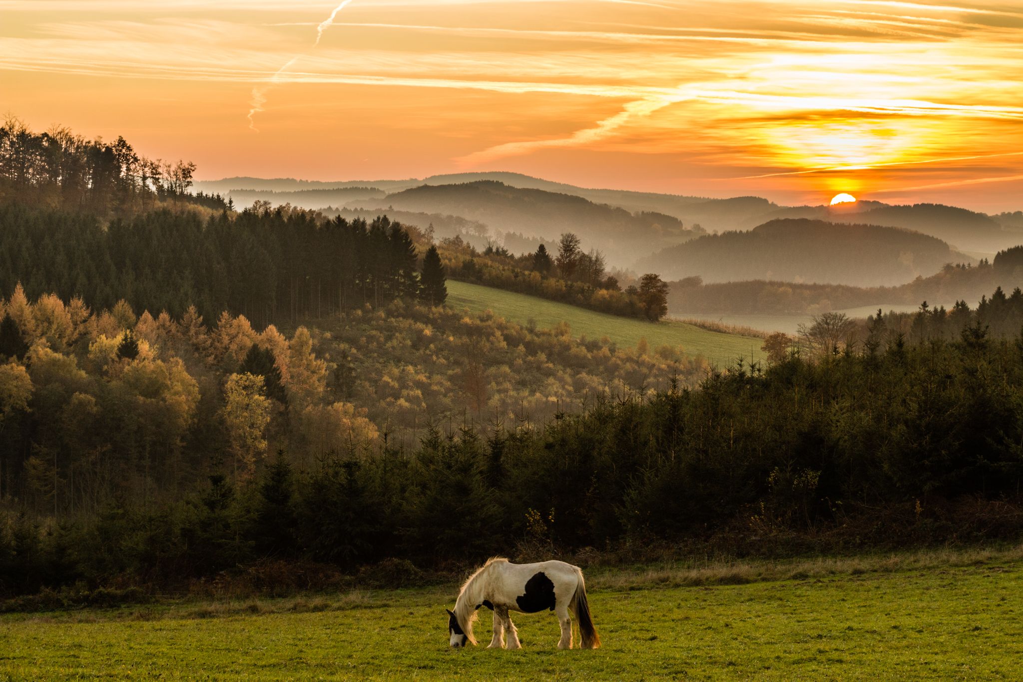 Sauerland near Rärin, Herscheid, Germany