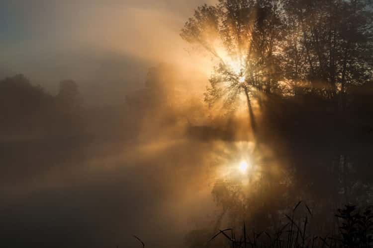 Sunrise at the lake