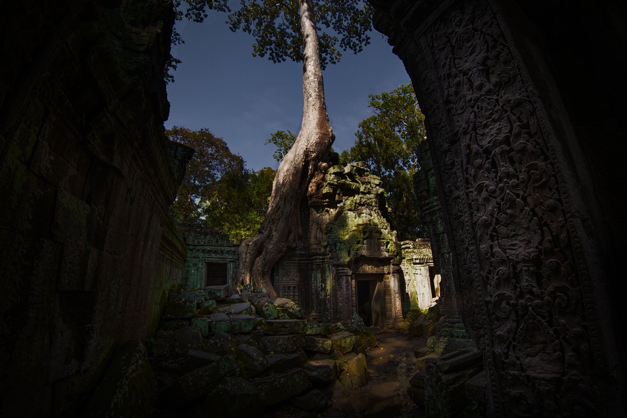 Tempelanlage Ta Prohm, Cambodia