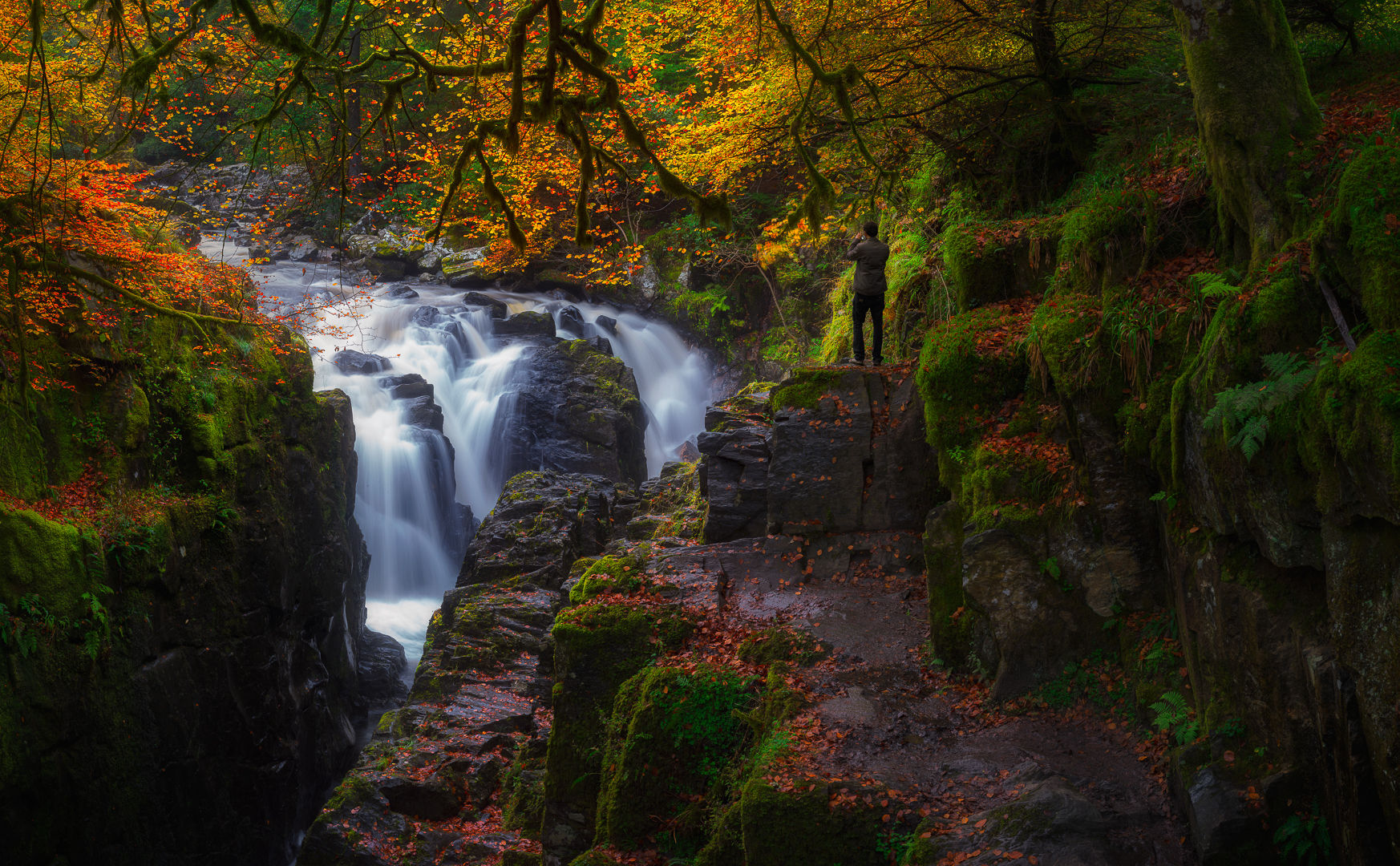 The Hermitage, Dunkeld, Perthshire, United Kingdom