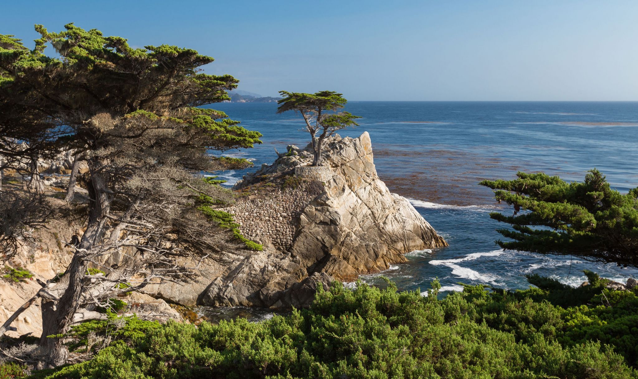 The Lone Cypress, Pebble Beach, USA