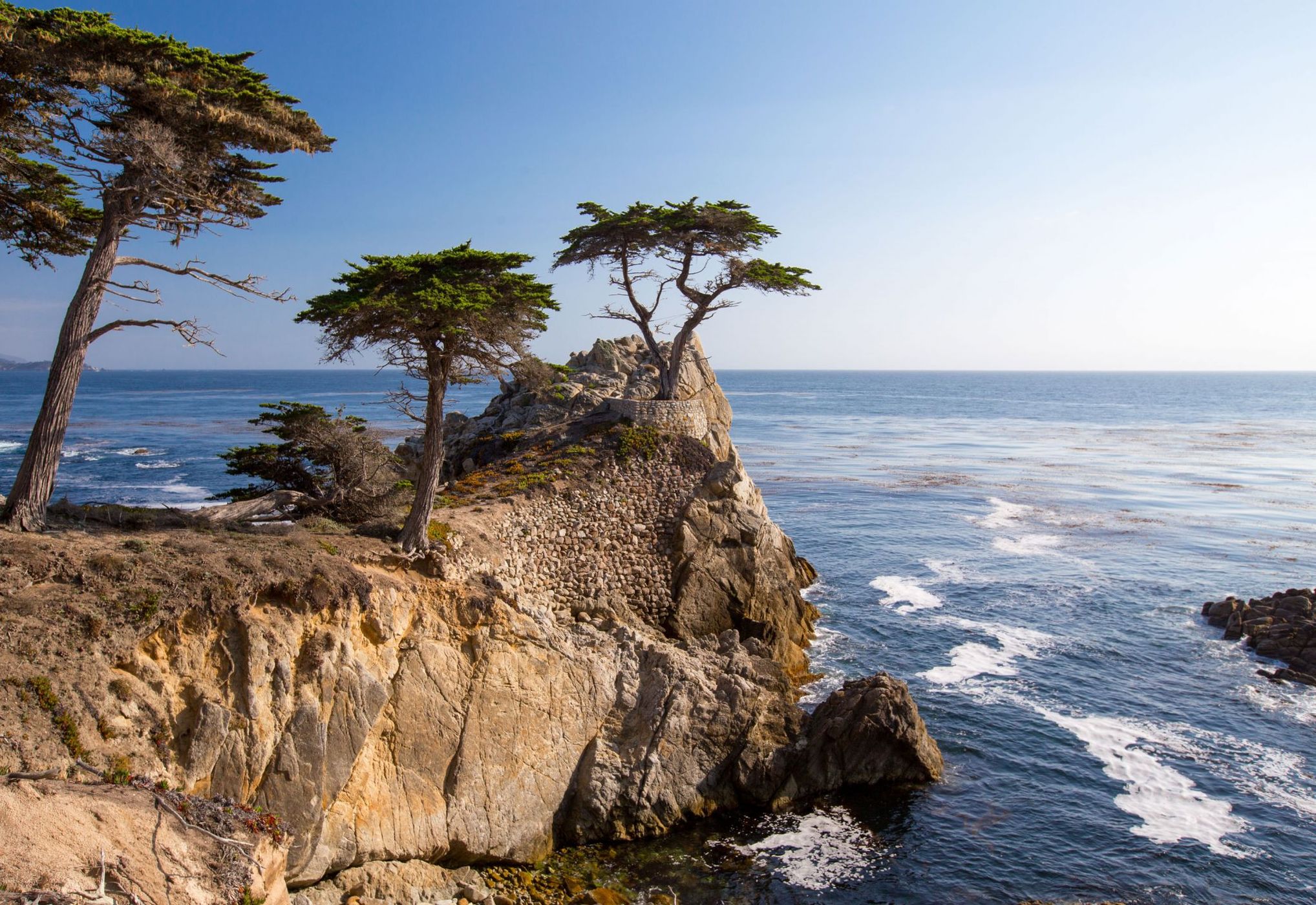 The Lone Cypress, Pebble Beach, USA