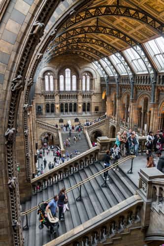 The Natural History Museum, London