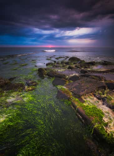 The North Sea Coast, near Den Helder