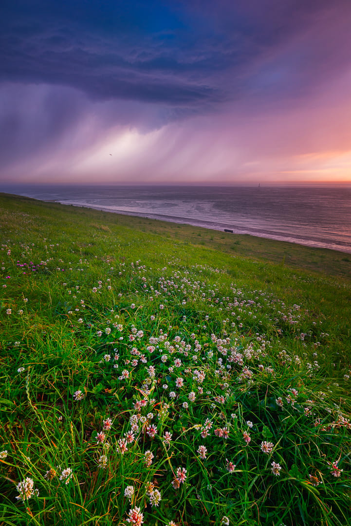 The North Sea Coast, near Den Helder, Netherlands