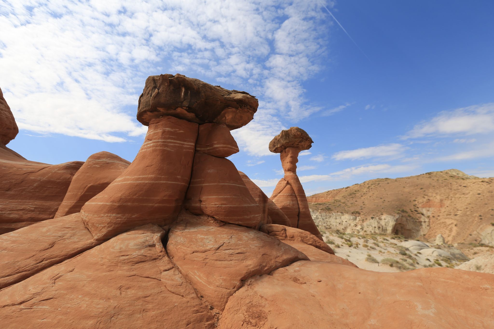 The Toadstool Hoodoos, USA