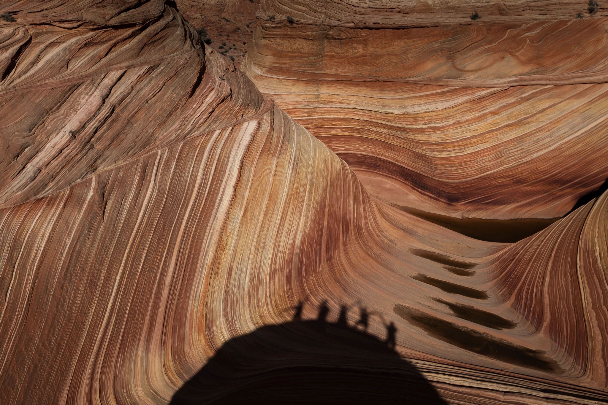 The Wave, USA