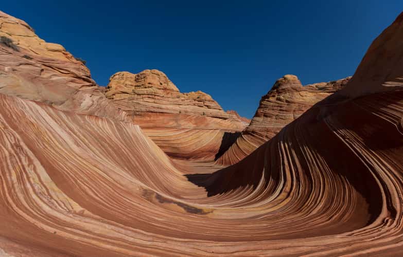 The Wave