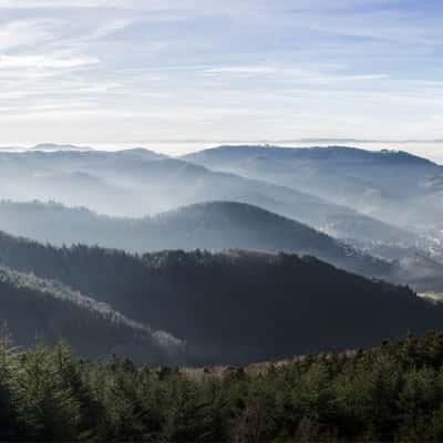 Brennte Schrofen, Black Forest, Germany