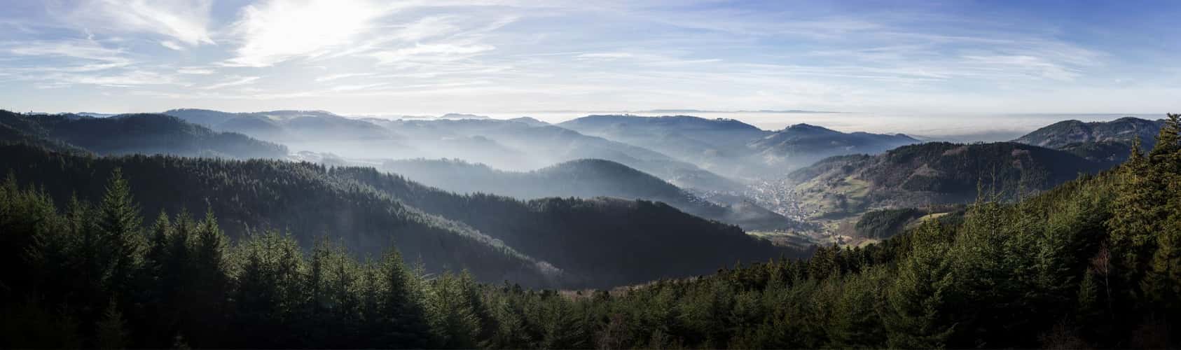 Brennte Schrofen, Black Forest