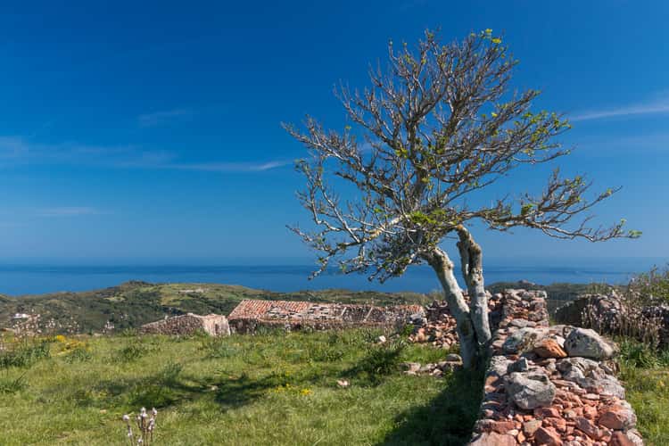 Castillo de Santa Àgueda, Minorca