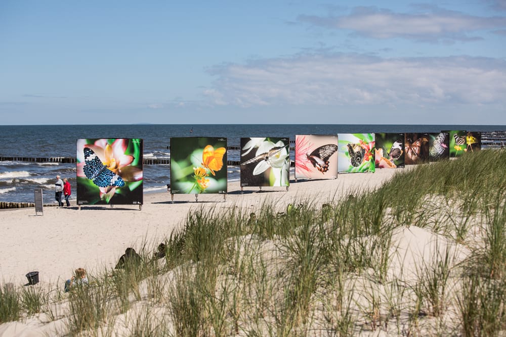 Seebrücke Zingst, Germany