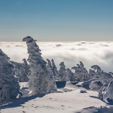 Frozen Troll Army on the Brocken summit, Germany
