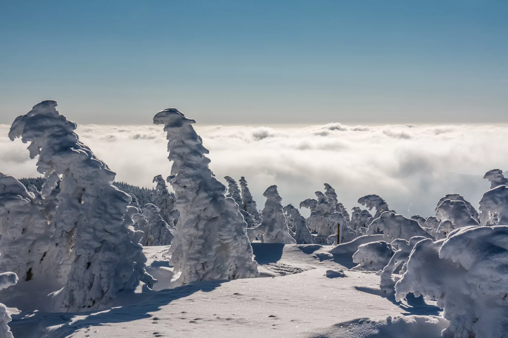 Frozen Troll Army on the Brocken summit, Germany
