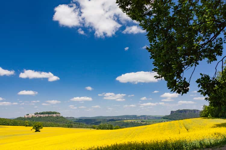 Königstein Fortress and Elbe Sandstone Mountains