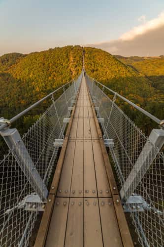 On the rope bridge