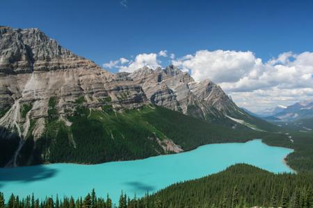 Peyto Lake Overview from Bow Summit