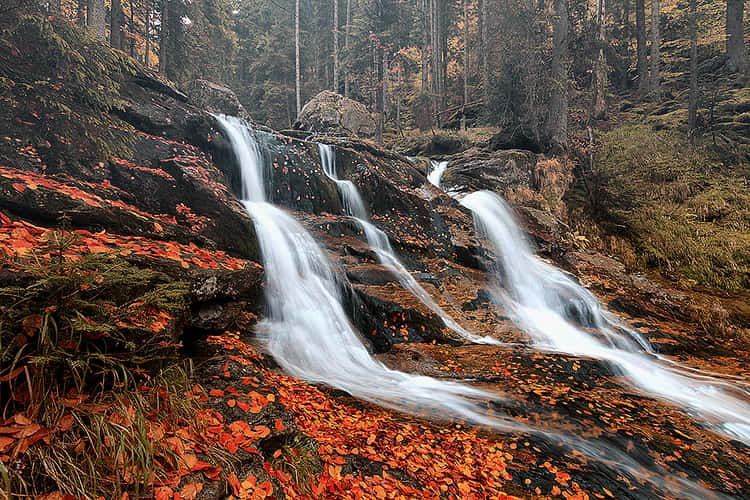 Rieslochfalls at Bodenmais/Bavarian Forest