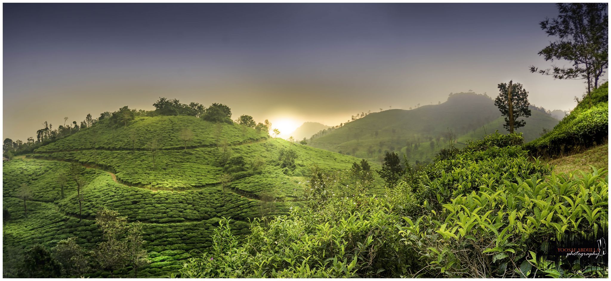 Sentinel Story, India