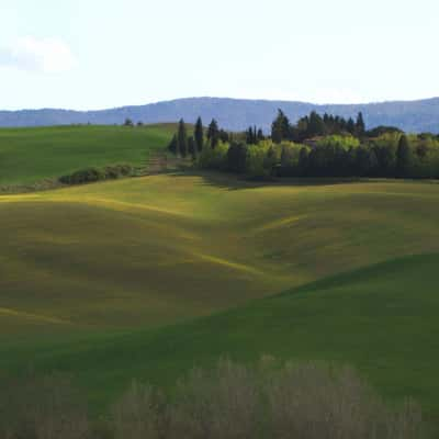 Spring in Tuscany, Italy