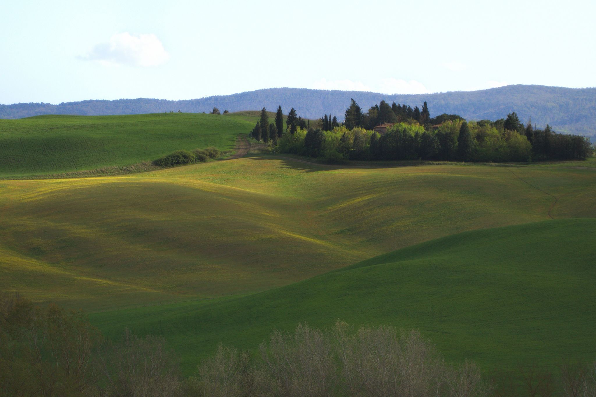 Spring in Tuscany, Italy