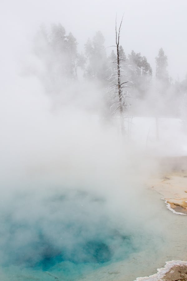 Yellowstone Park - Winter, USA