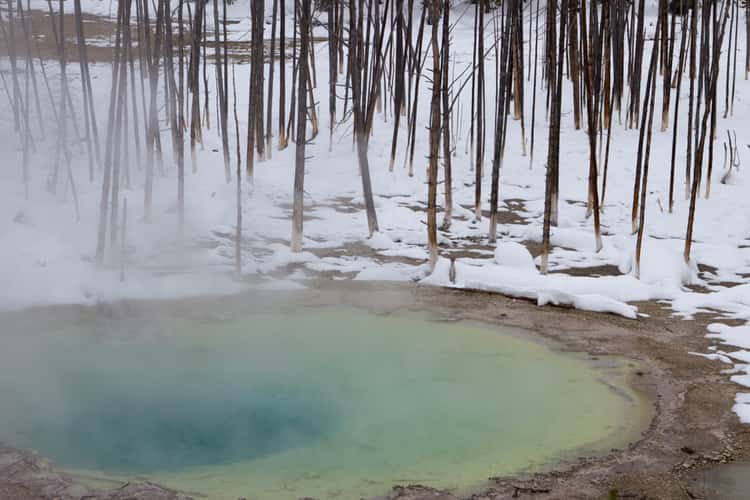 Yellowstone Park - Winter