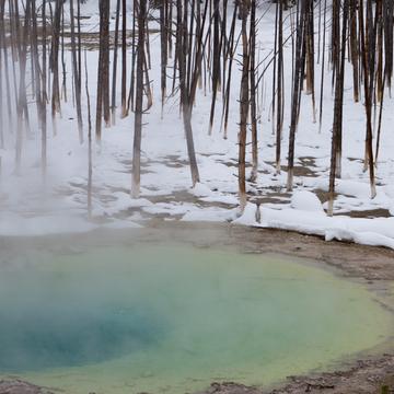 Yellowstone Park - Winter, USA