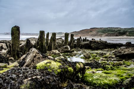 Beach close to Wimereux