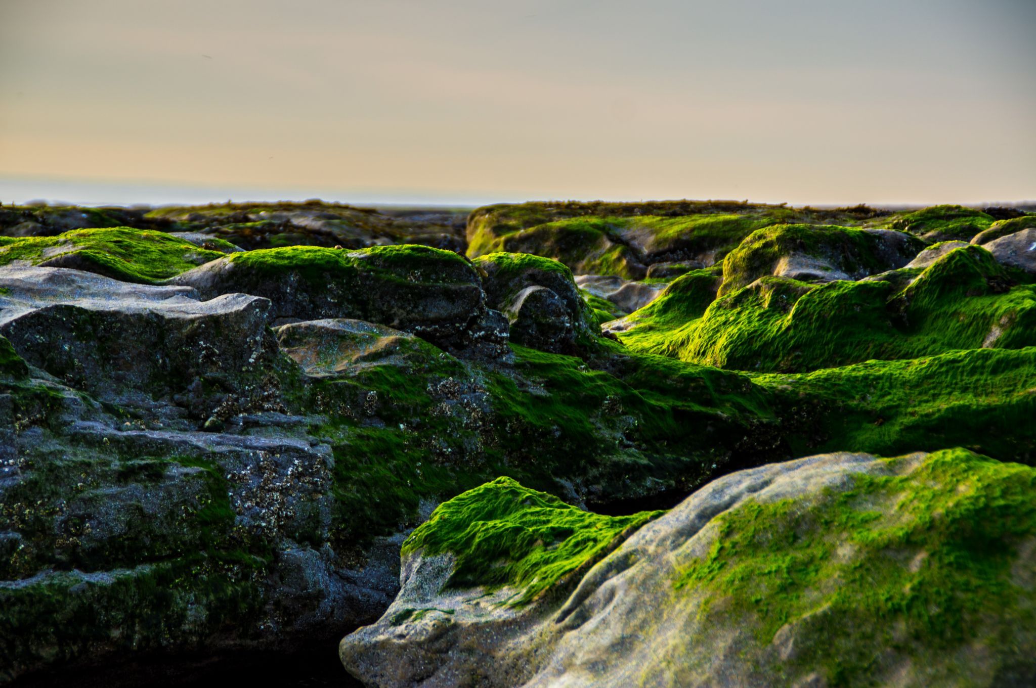 Beach of Ambleteuse, France
