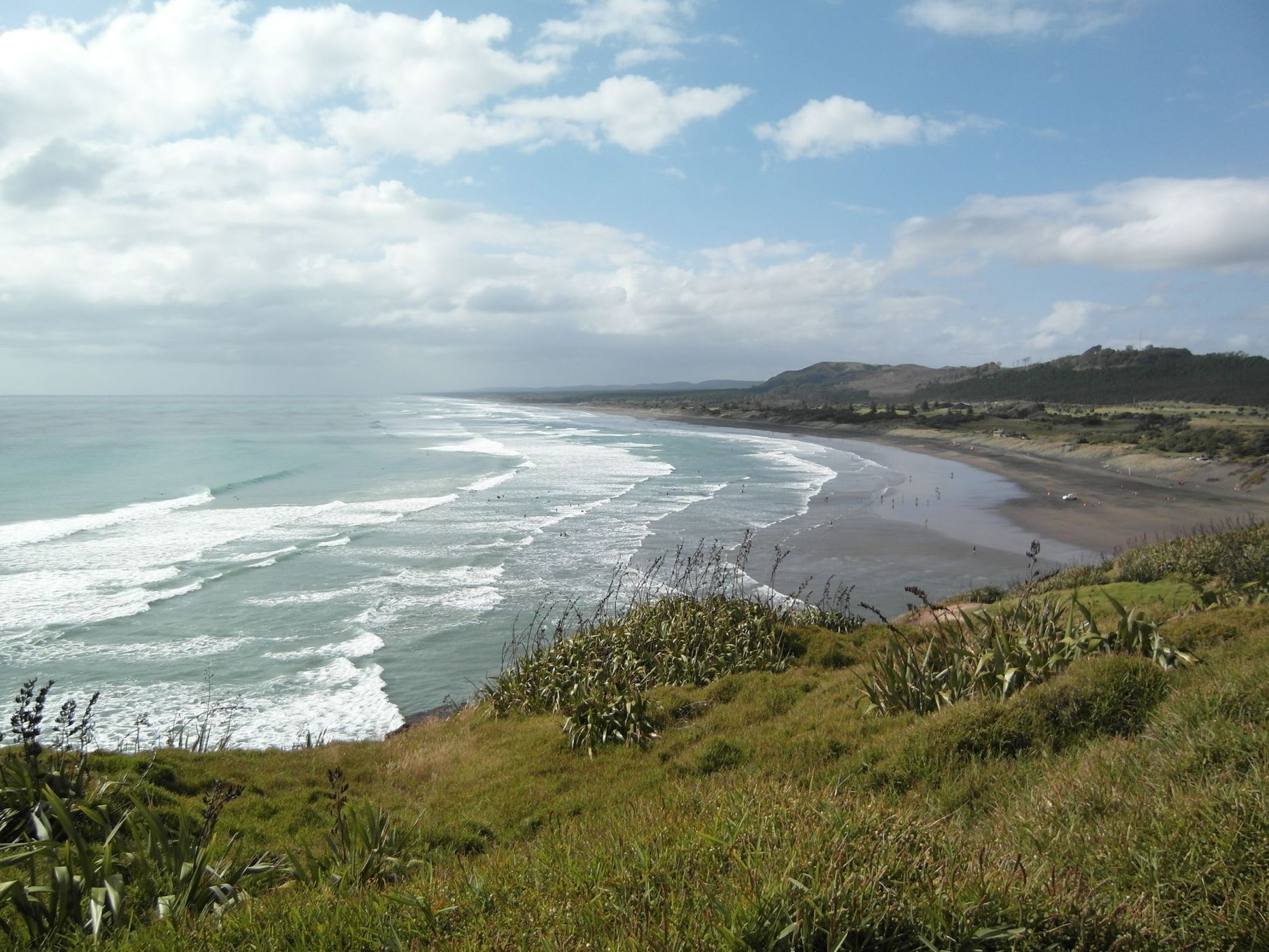 Black Sand Beach Muriwai, New Zealand