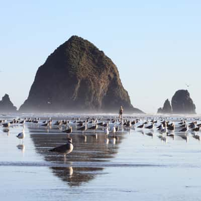 Haystack Rock, Cannon Beach, Oregon, USA