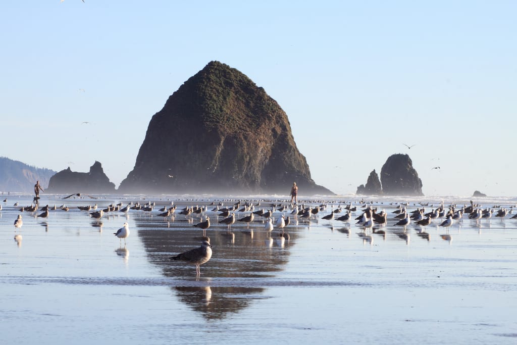Haystack Rock, Cannon Beach, Oregon, USA