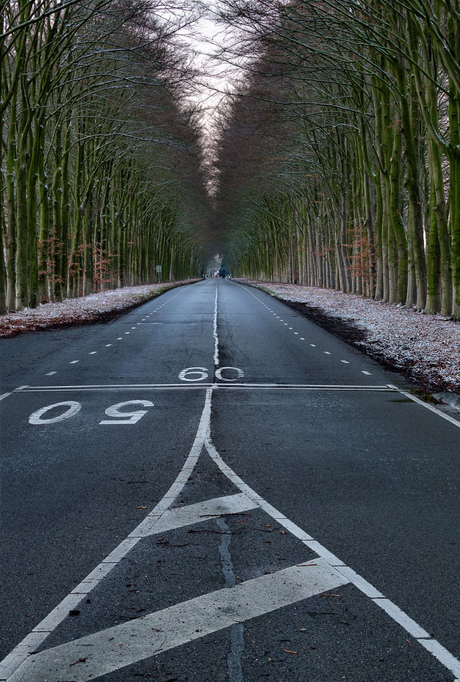 Dutch alley, Netherlands