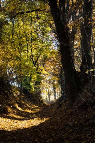 Feengrotten Saalfeld