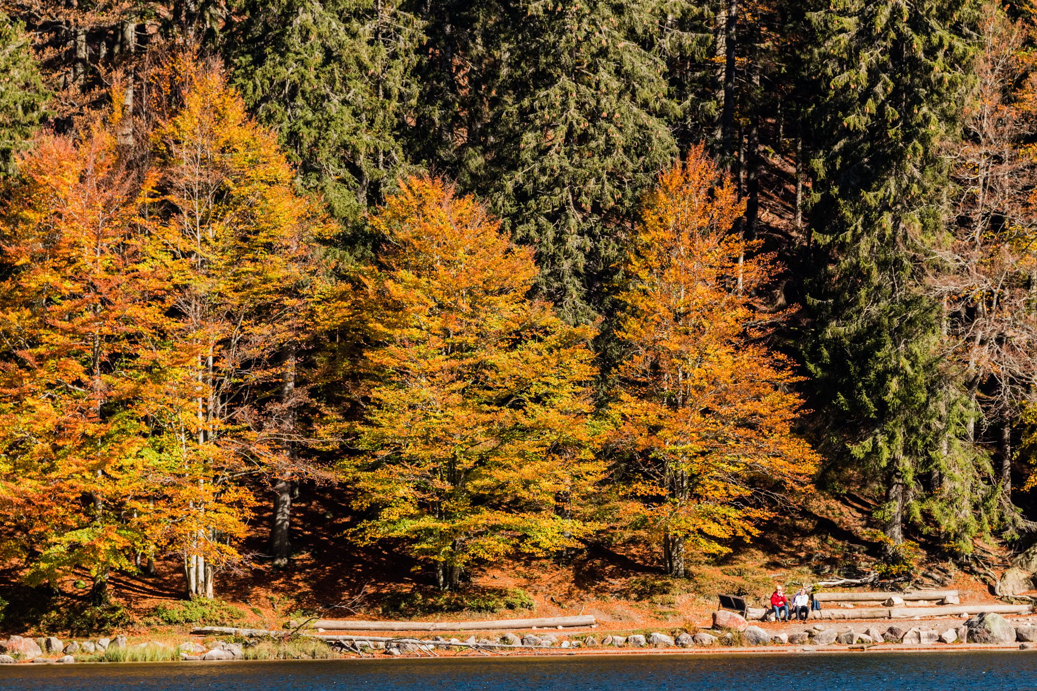 Feldsee, Black Forest, Germany