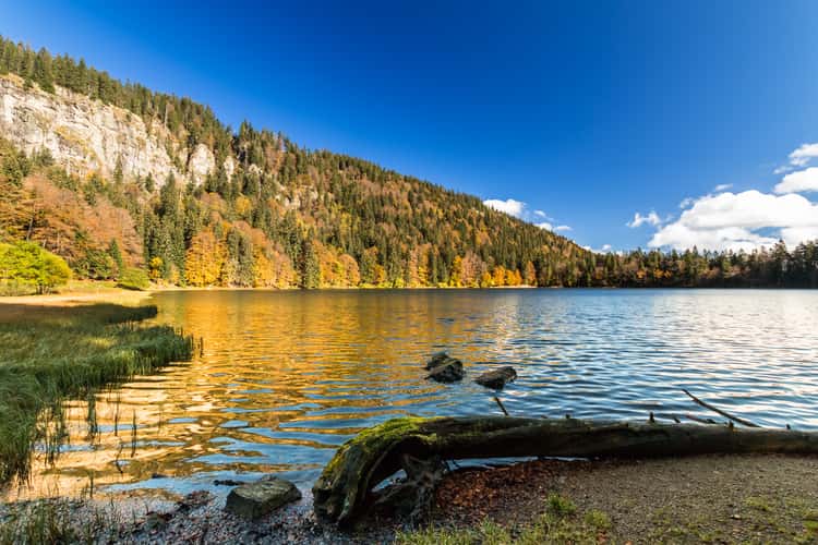 Feldsee, Black Forest