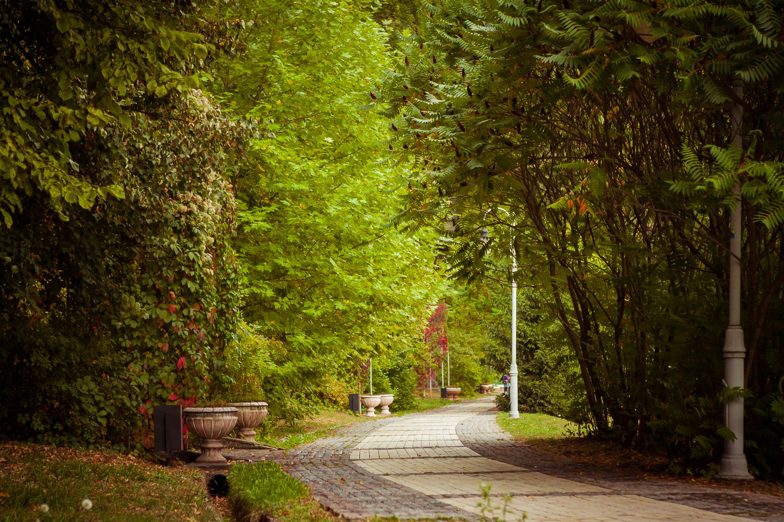 Feofania park, Ukraine