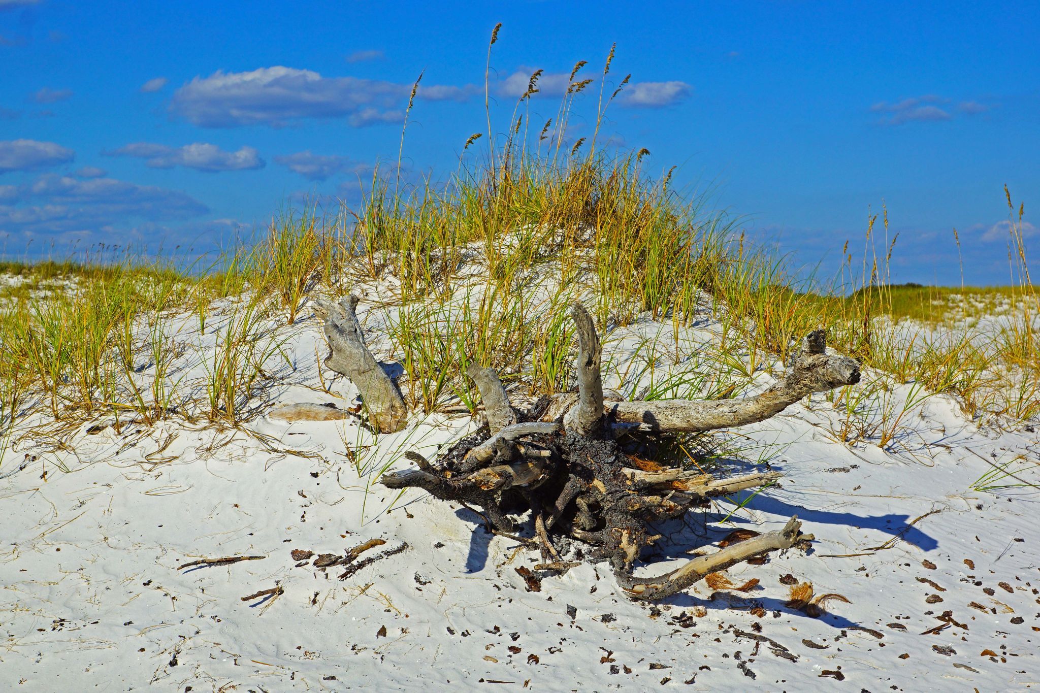 Ft. Pickens, USA