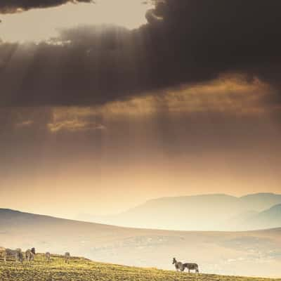 Golden Gate National Park, South Africa