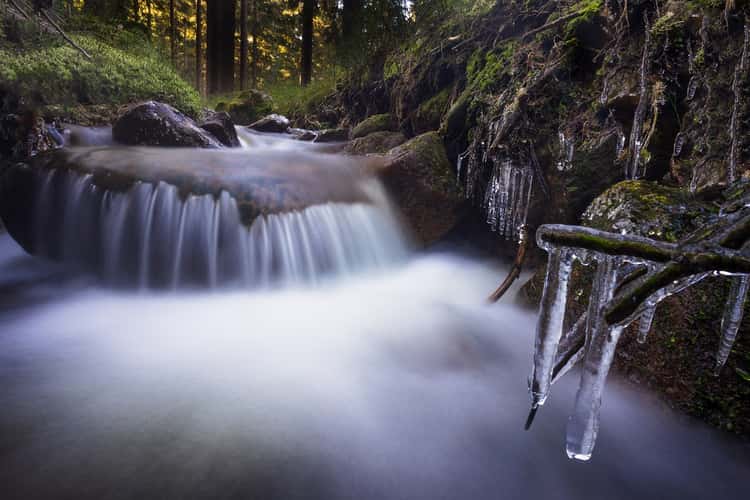 Kleiner Arbersee, Bavarian Forest