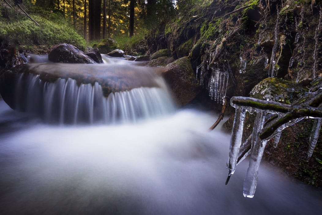 Kleiner Arbersee, Bavarian Forest, Germany