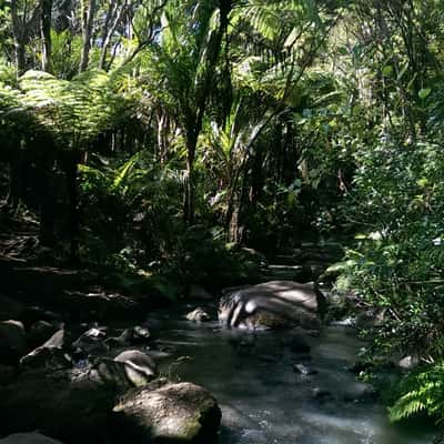 Knutzen track, New Zealand