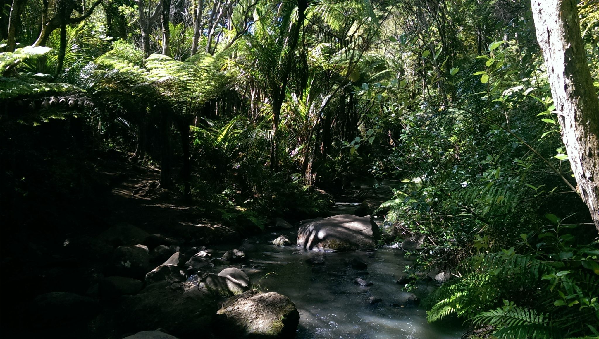 Knutzen track, New Zealand