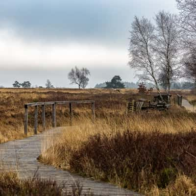 La Fagne de Malchamps I, Belgium