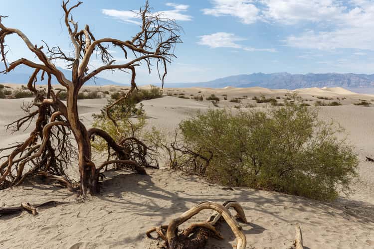 Sand dunes at Stovepipe wells in Death Valley
