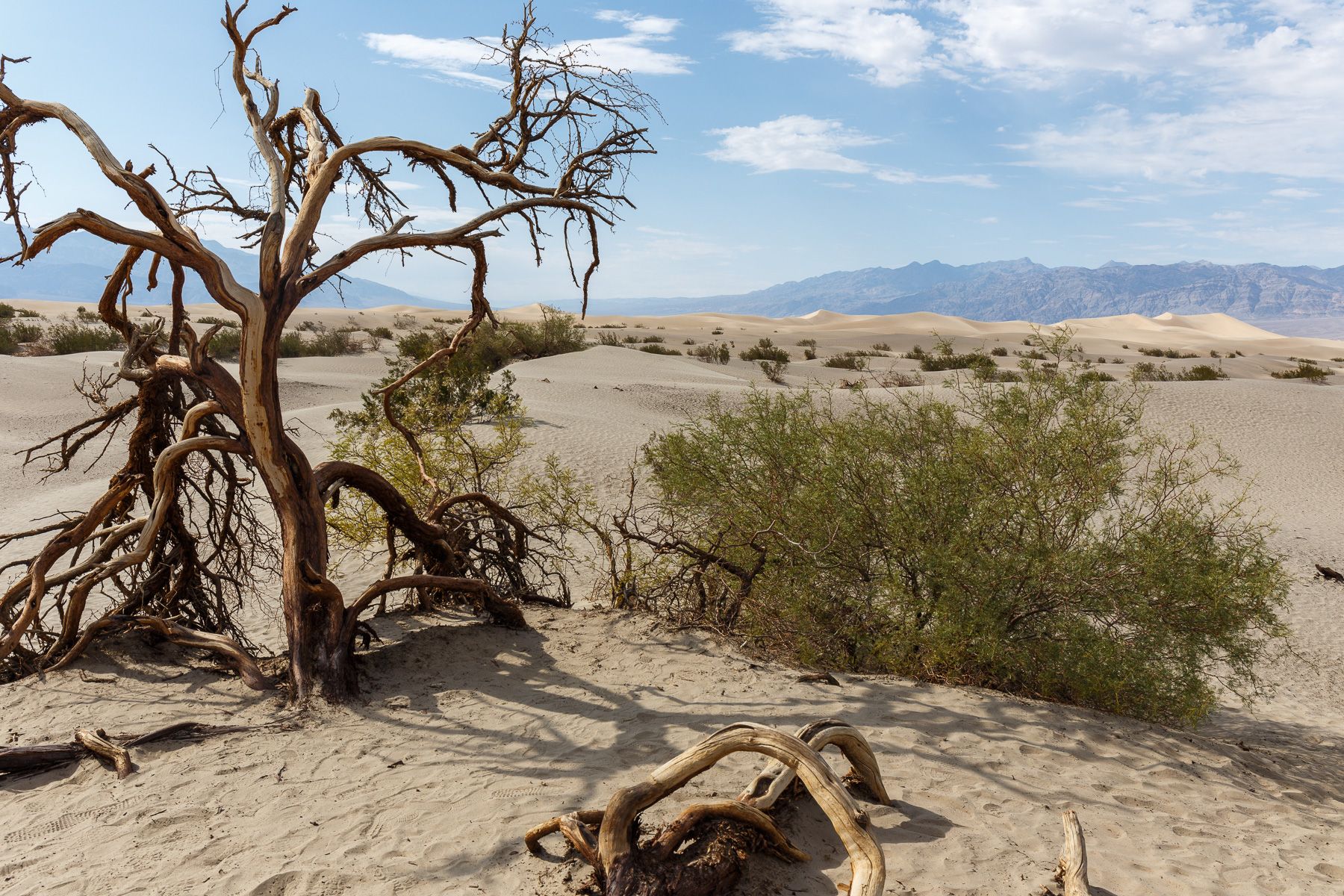 Sand dunes at Stovepipe wells in Death Valley, USA