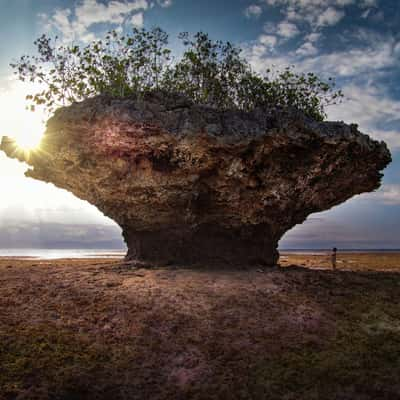 Secret beach, Moal boal, Philippines