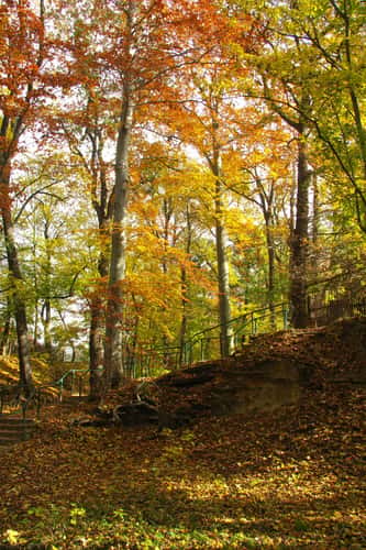 Siechenbach Tal