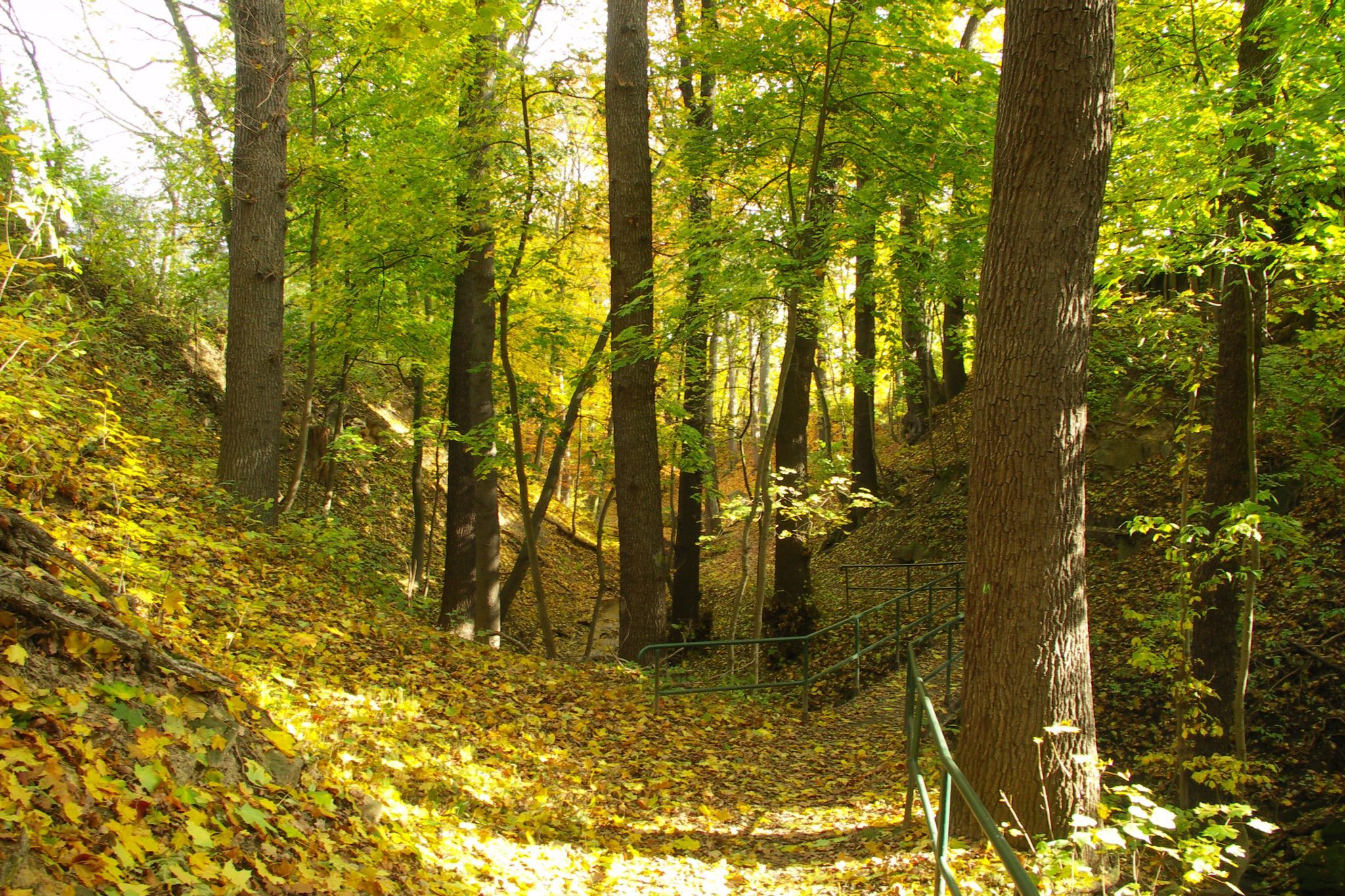 Siechenbach Tal, Germany